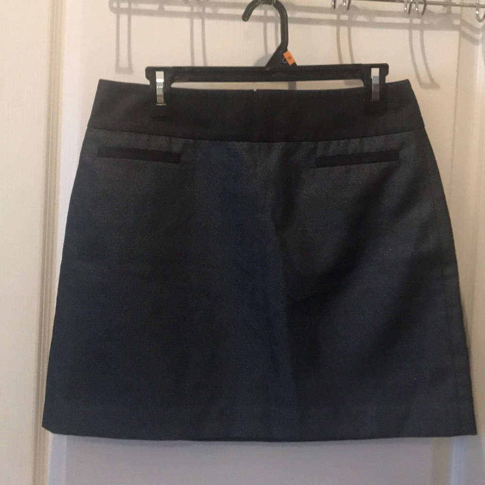 Ann Taylor Loft Skirt 10P